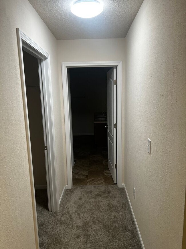 Building Photo - 239 Brooklet Cir