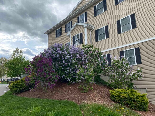 Building Photo - 50 Sentinel Court