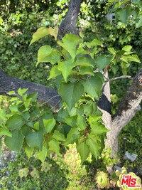 Building Photo - 23444 Park Hermosa