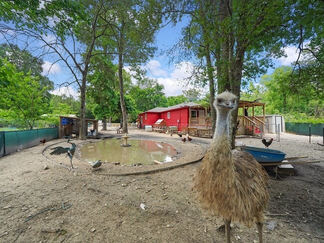 Building Photo - 29 Co Rd 2131