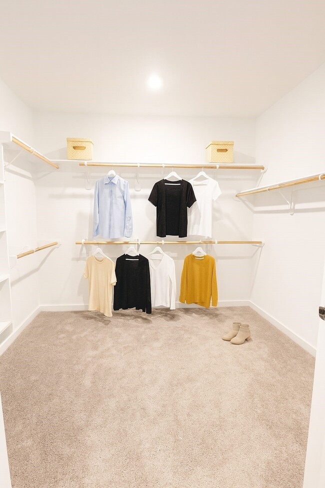 Building Photo - 2426 Peach Oak Xing