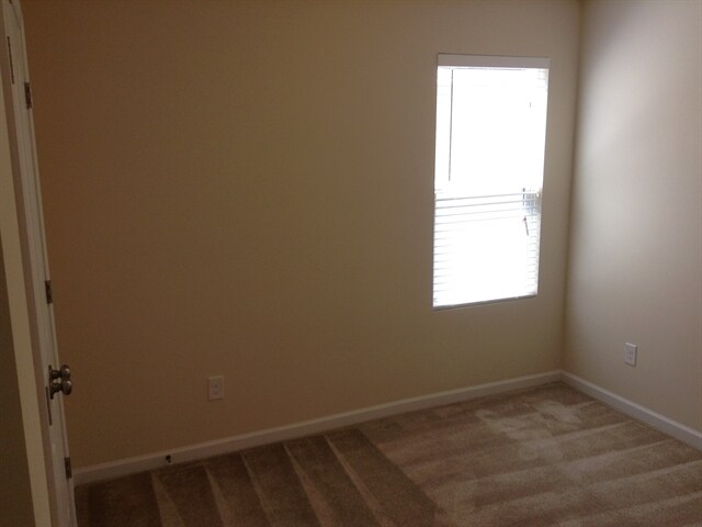 Building Photo - 6215 Thompson Brook Lane