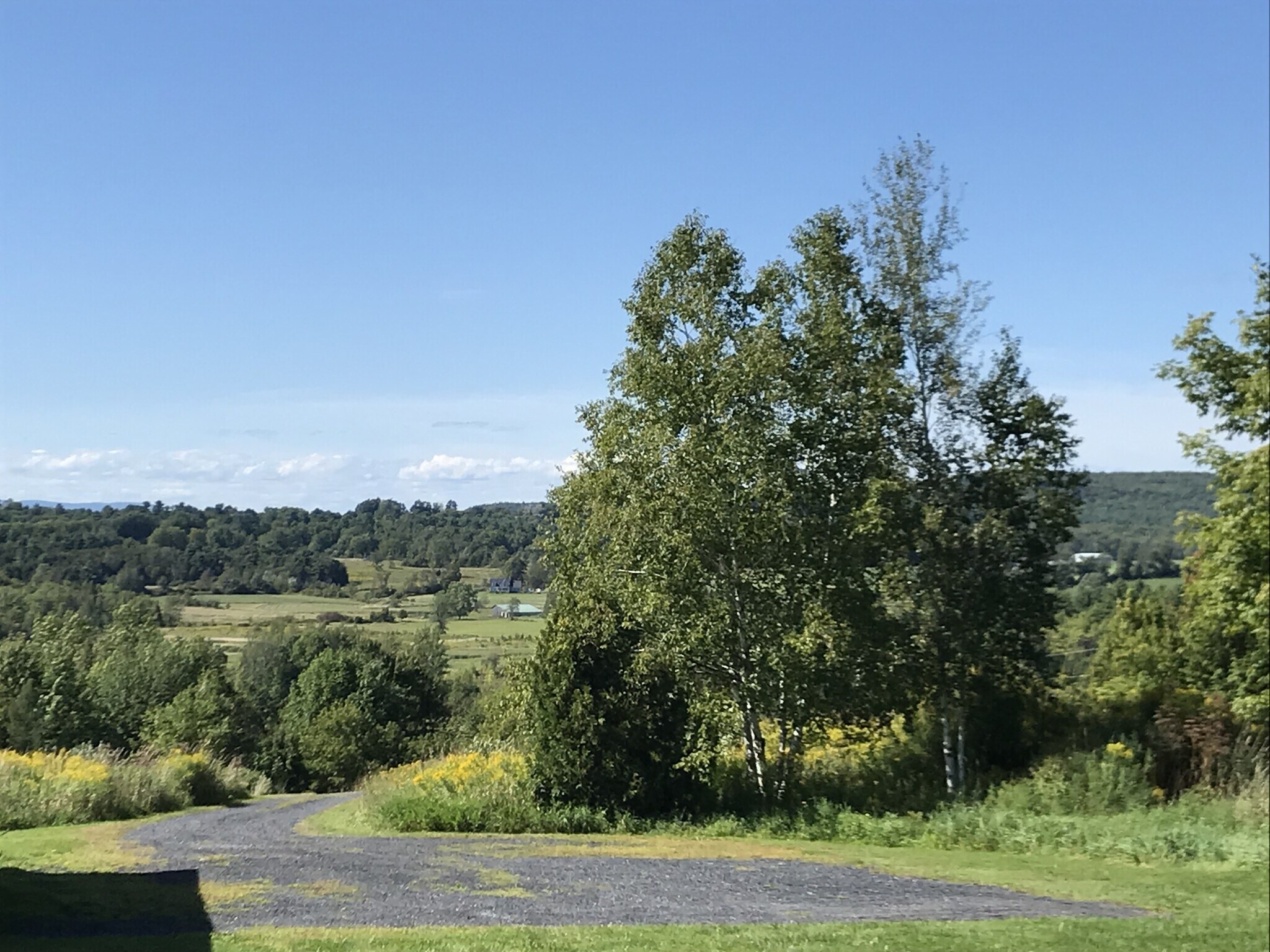 View - 96 Hogsback Dr