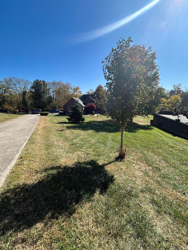 Building Photo - 409 Lawson Dr