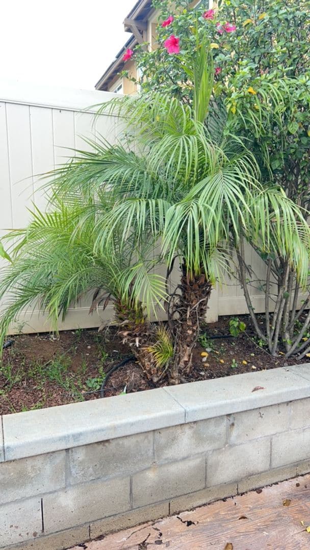 Building Photo - Beautiful 4 bedroom, 3 bath home nestled in the foothills of Fallbrook