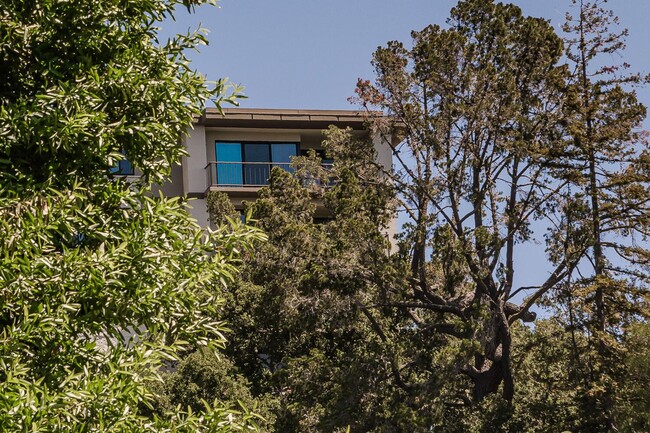 Building Photo - Gorgeous 2 Bed / 2 Bath Top Floor Condo wi...