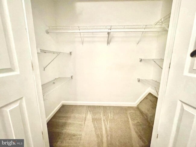 Building Photo - 597 Primus Ct