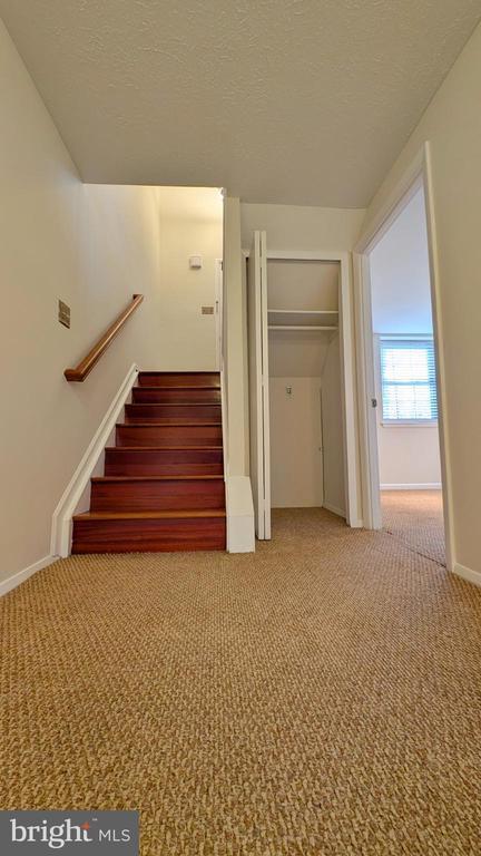 Building Photo - 33 Badger Gate Ct