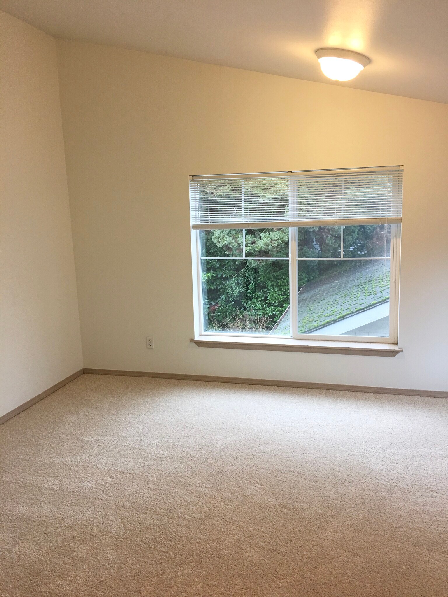 Building Photo - 7543 11th Ave NE #B