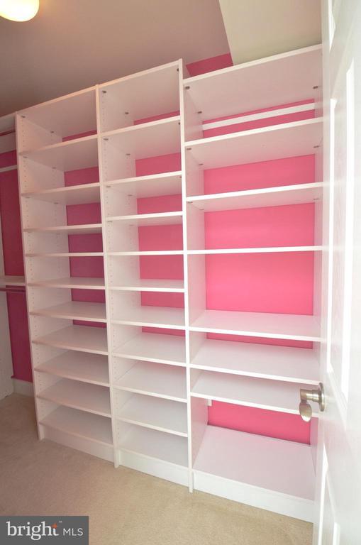 Building Photo - 3053 Waterloo Ln