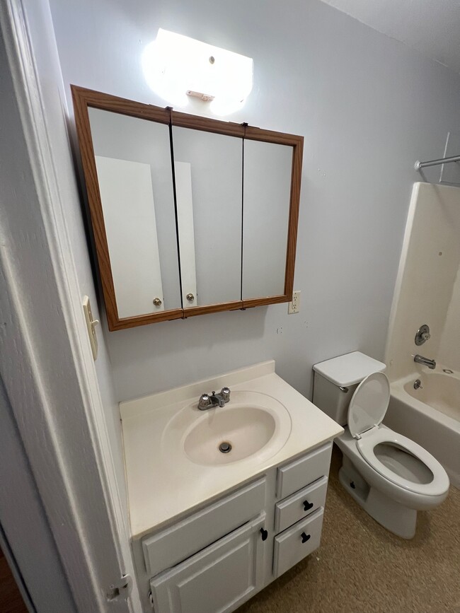 Bathroom - 207 Mill St