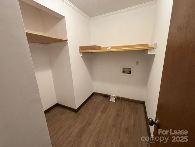 Building Photo - 117 Teakwood Ln