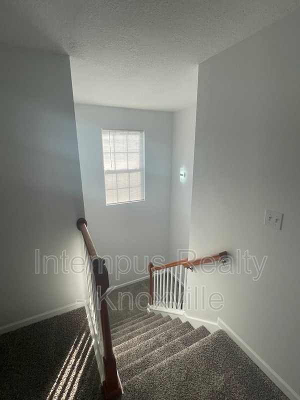 Building Photo - 3119 Pinex Ln
