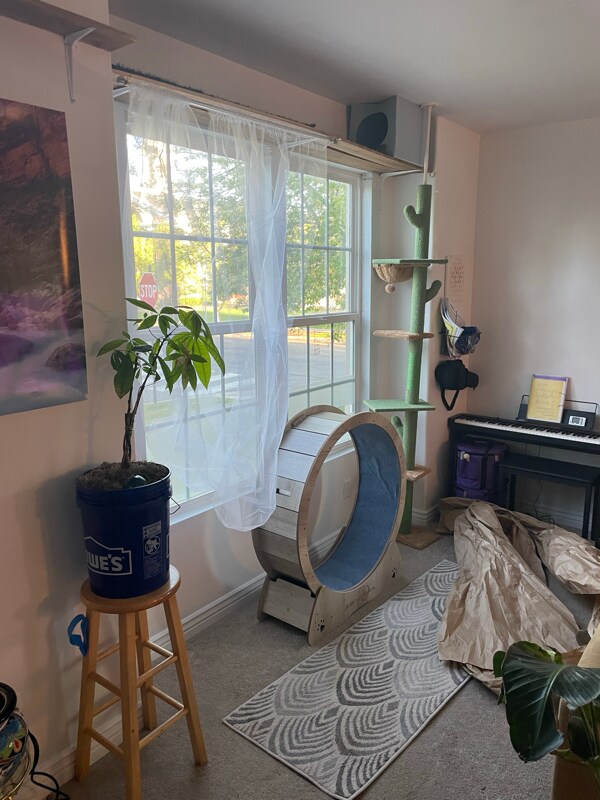 Building Photo - 10656 Cave Run Ln