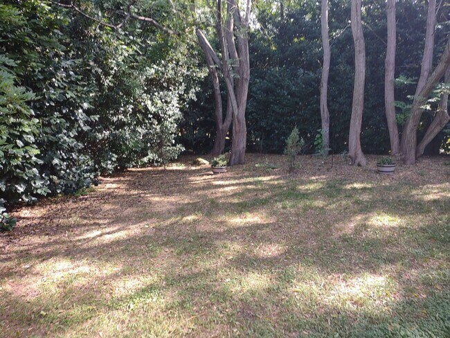 Building Photo - Lovely 2 Bedroom House | Great Location!