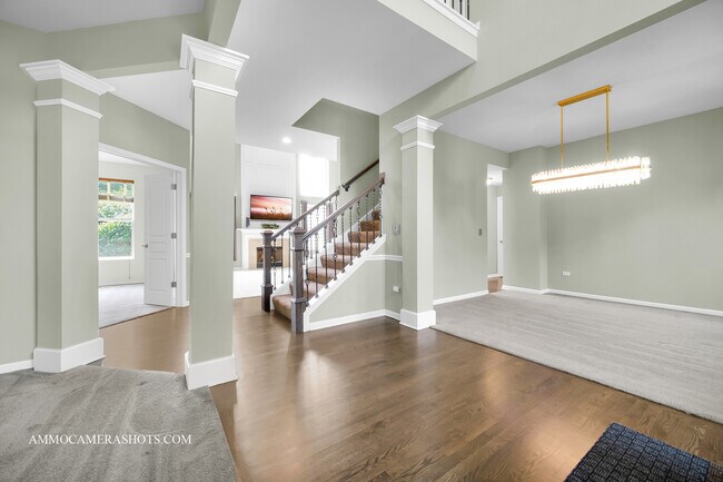 Building Photo - 351 Tiger St