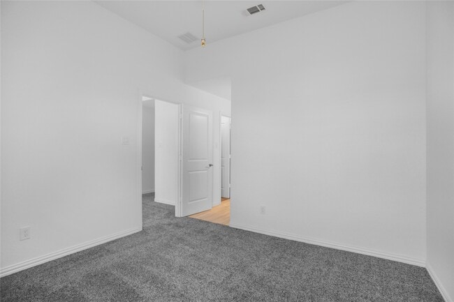 Building Photo - 2718 Ripe Amber Cup Ct