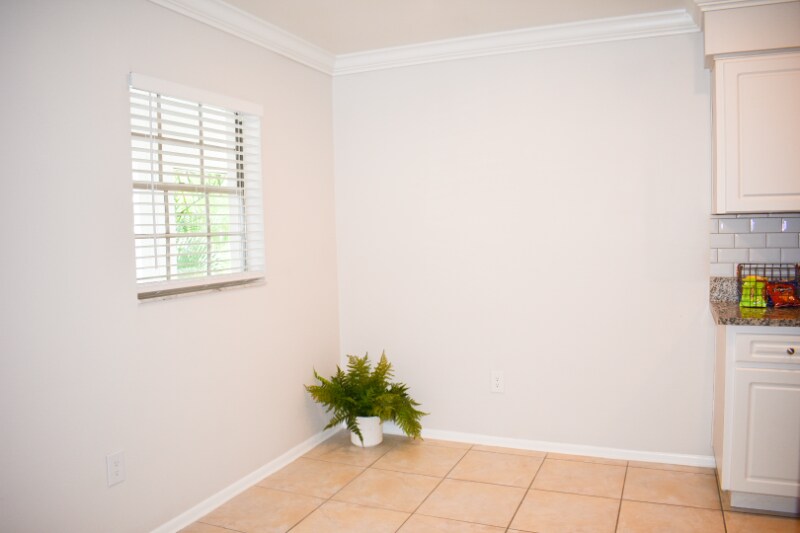 Building Photo - 3215 W Swann Ave