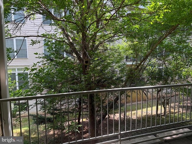 Building Photo - 8181 Carnegie Hall Ct