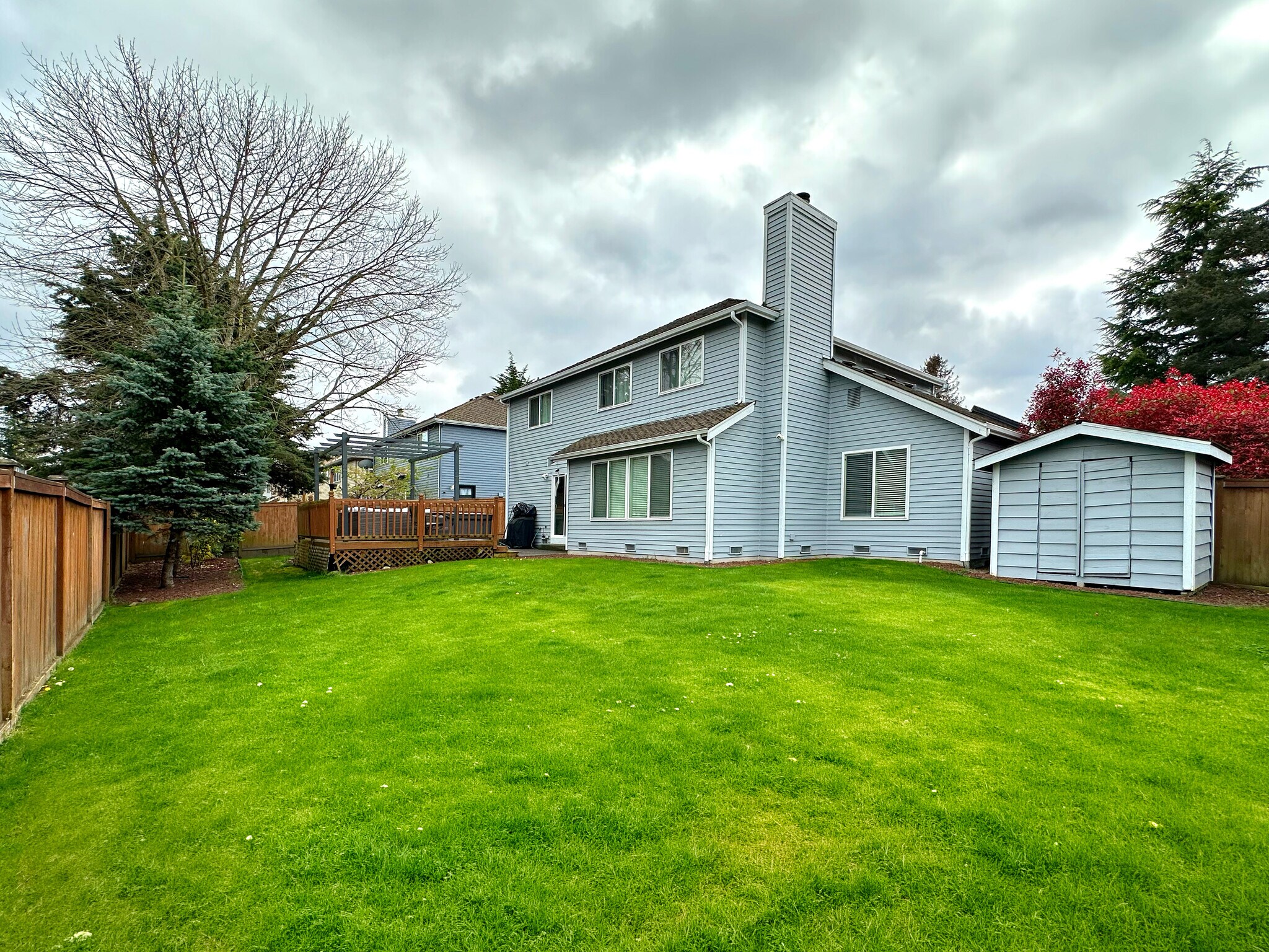 Backyard - 34426 10th Ave SW