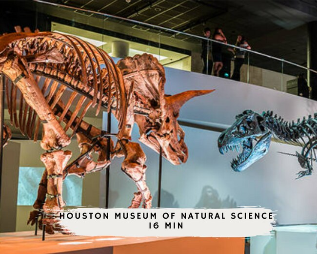 Building Photo - 11102 Hillcroft St