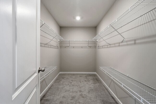Building Photo - 313 Summer Ranch Dr