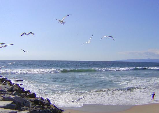 Building Photo - 416 Virginia St