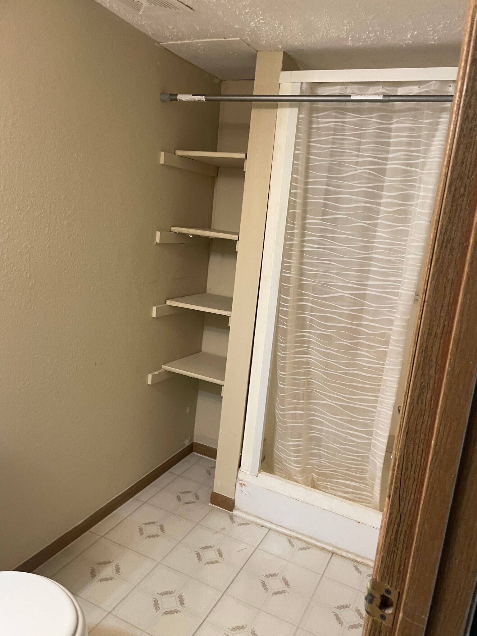 Downstairs bathroom-shower only - 2209 Roma Ln