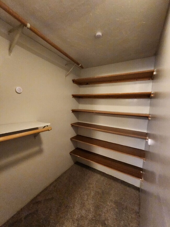 Building Photo - East Bench Remodeled Rambler below Olympus...
