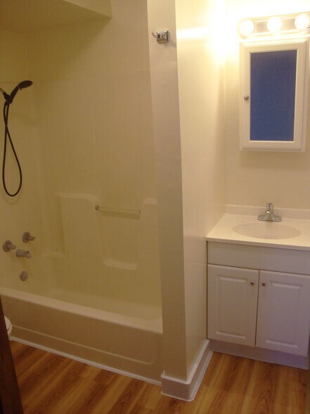 Bathroom vanity and tub/shower. - 441 White Ln