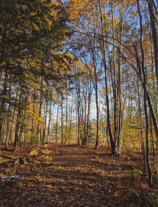 Building Photo - 133 Howe St