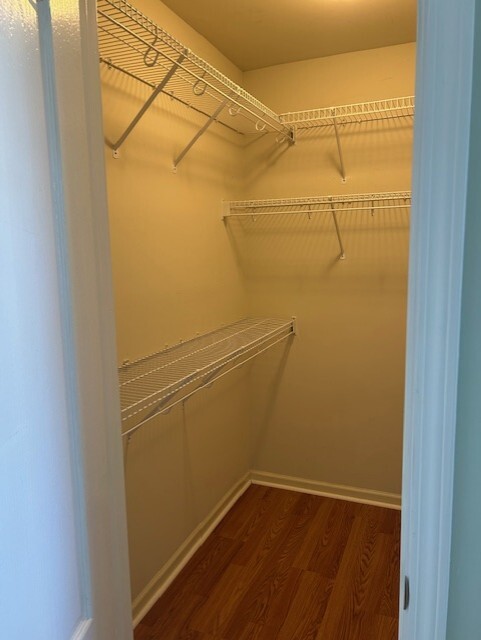 Master Bath Walk In Closet - 1205 Porter Pl