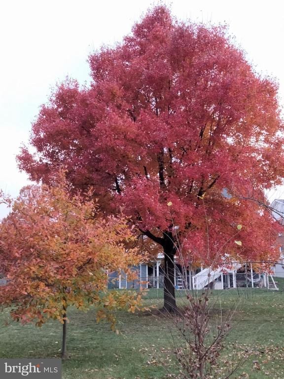 Building Photo - 2400 Valley Way