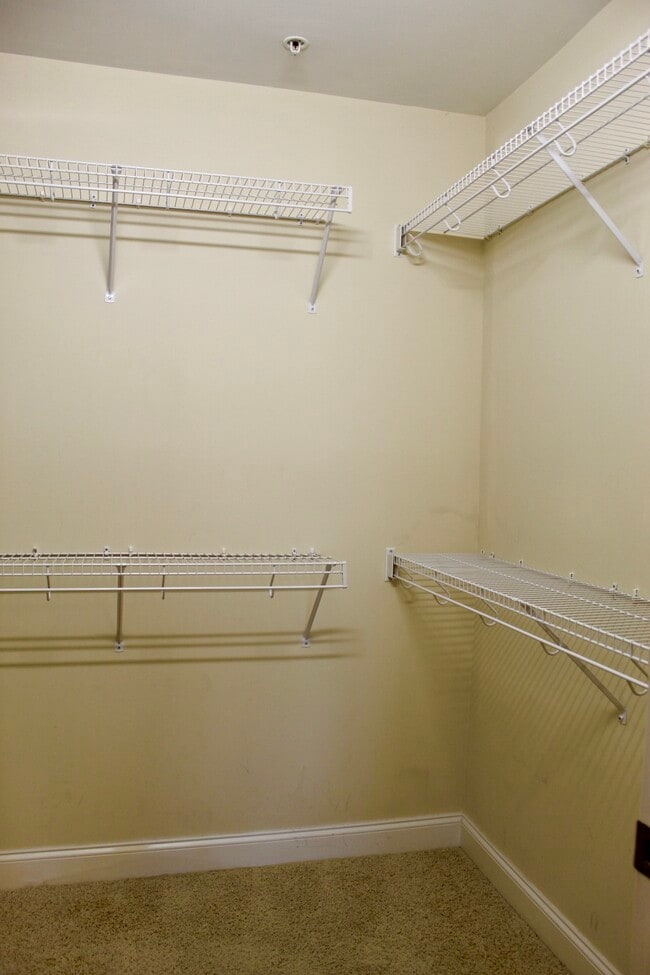 Building Photo - 6831 Main St