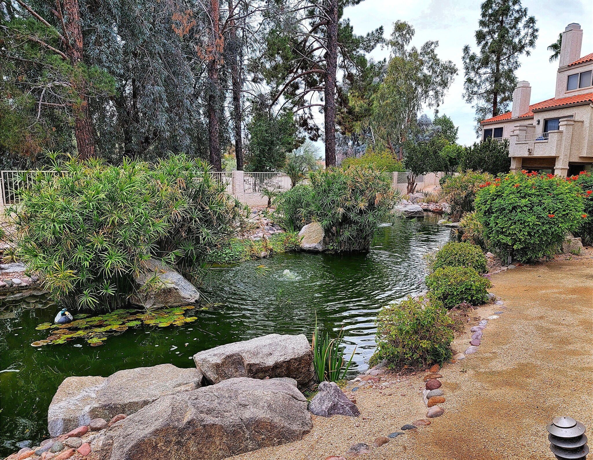 Building Photo - 10080 E Mountainview Lake Dr