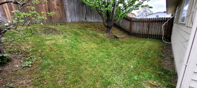 Building Photo - 30320 13th Ave S