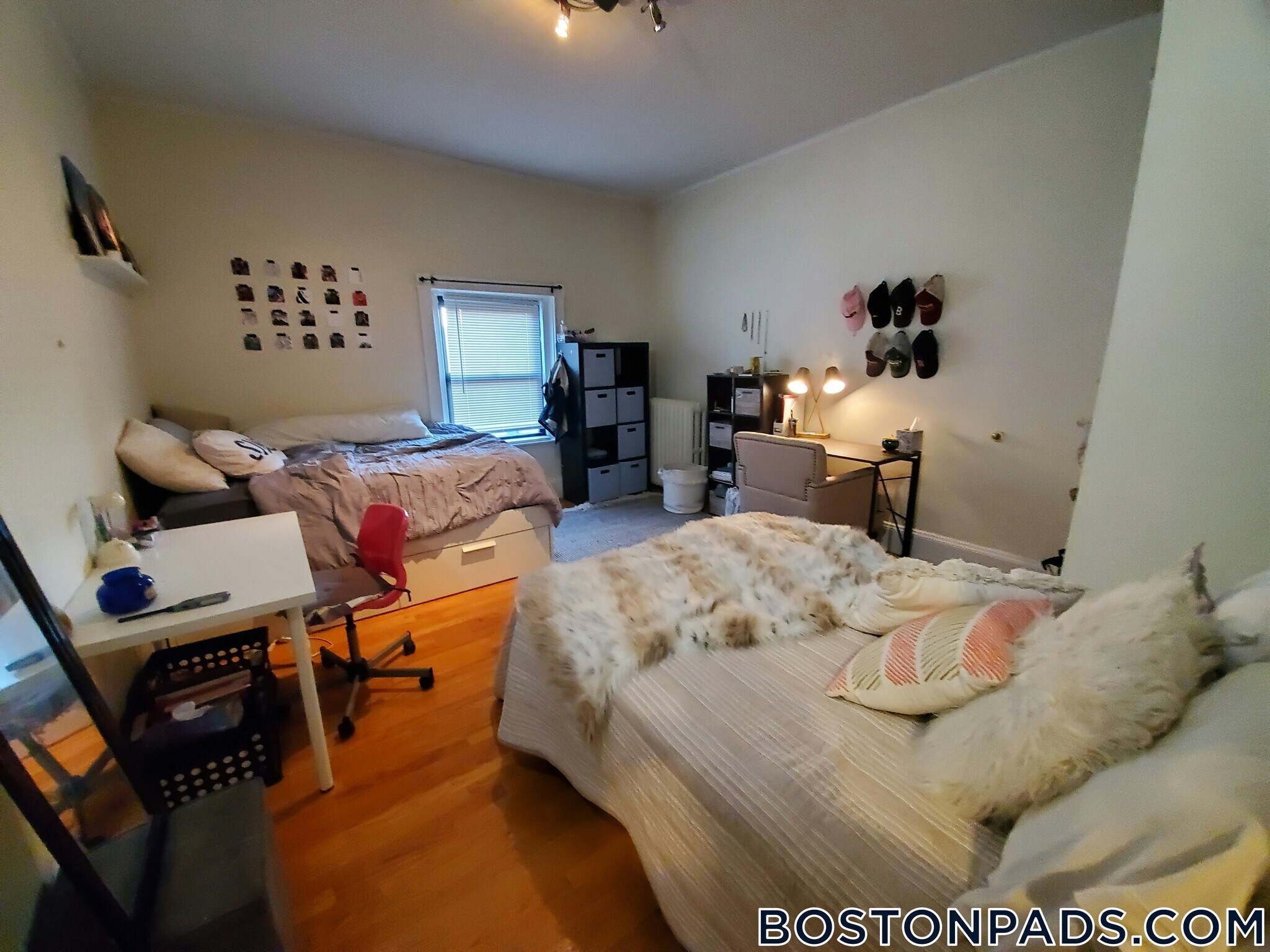 Building Photo - 43 Bay State Rd