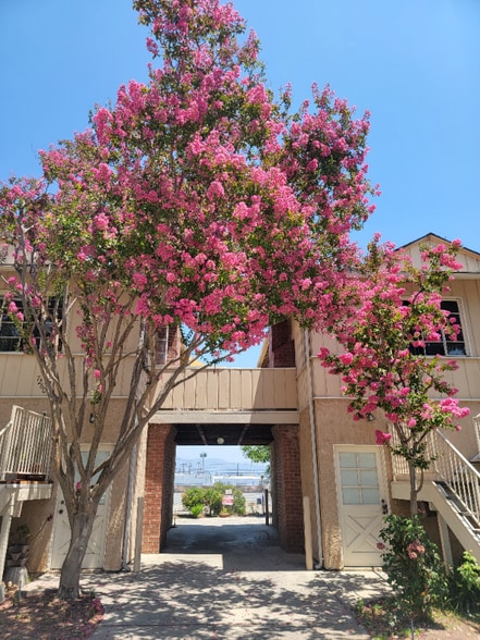 Building Photo - 7258 Allott Ave