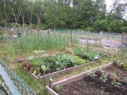 Community garden - 1406 Greymoor Way