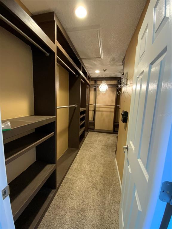 Building Photo - 1914 Palmetto Pine Ln