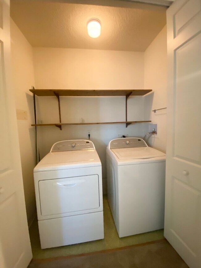 Building Photo - 4 Bed/2 BA Single Story Home, Downtown Ple...