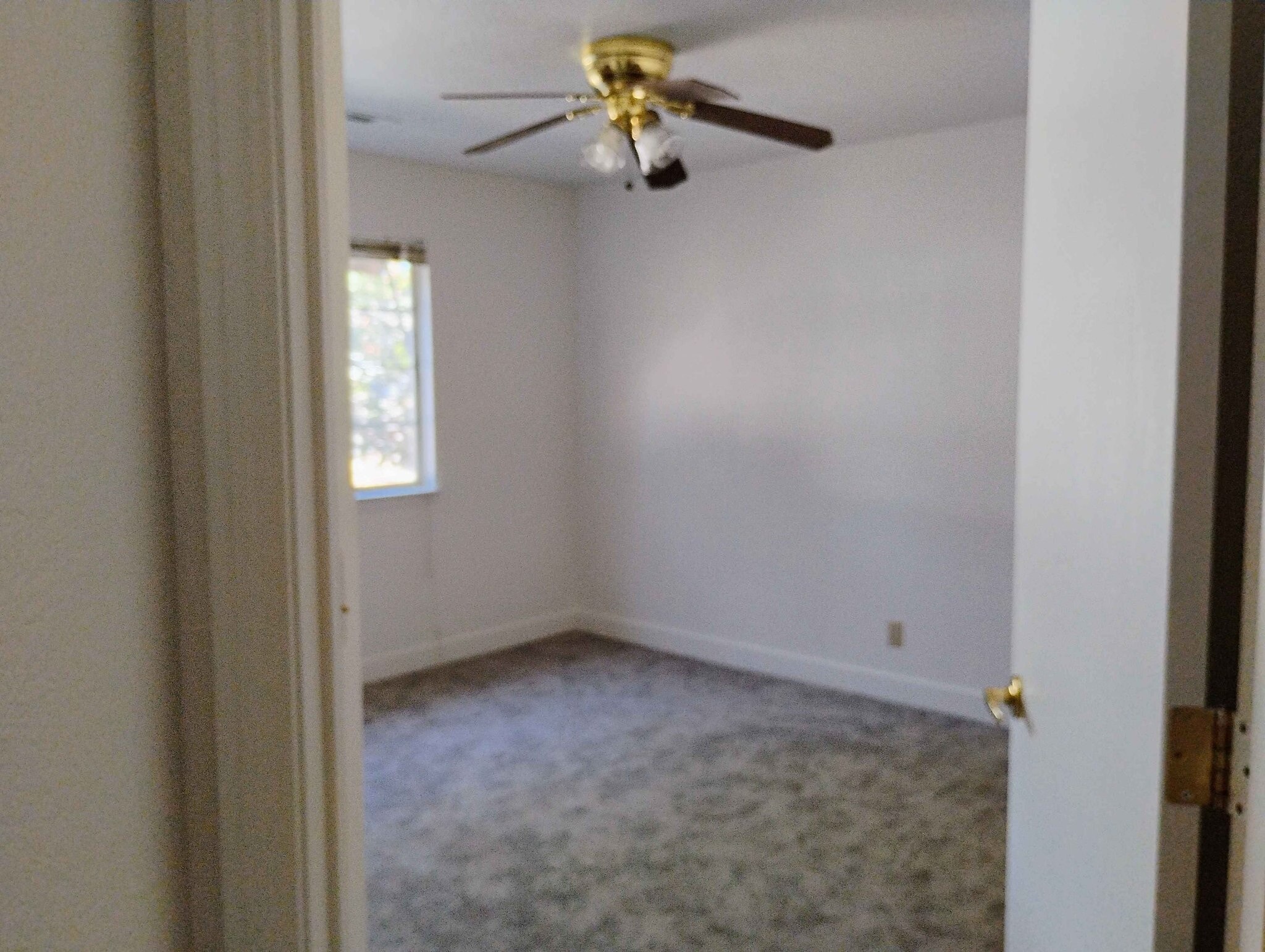 Building Photo - 7331 Jonella Way