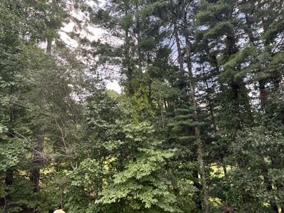 Building Photo - 44 Beach Crest Rise