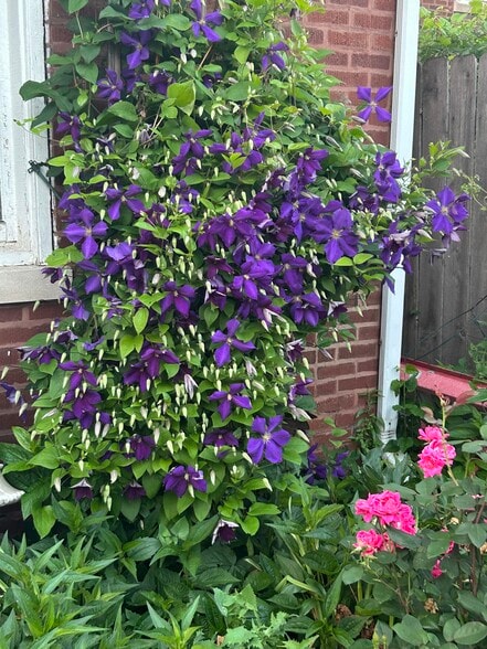 Building Photo - 220 W Harris Ave