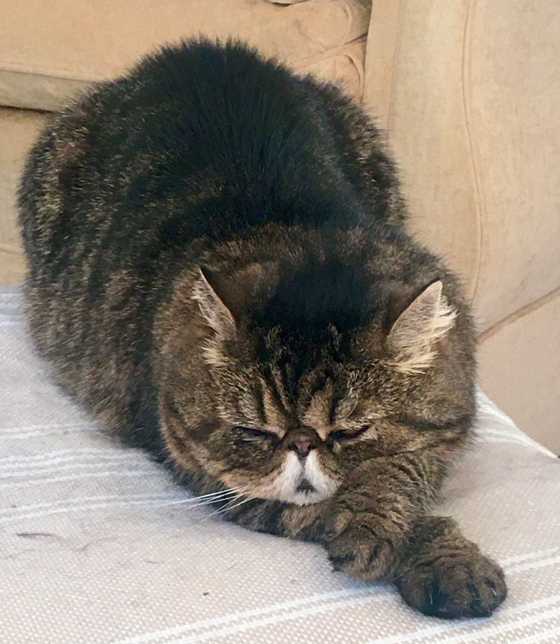 Building Photo - 5506 Starlight Ave