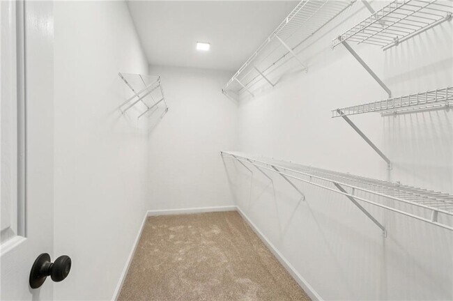 Building Photo - 26 McEvers Branch Ln