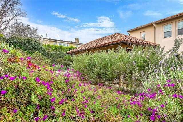 Building Photo - 8001 S Ocean Bluff Dr