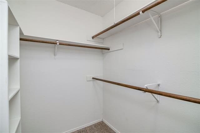 Building Photo - 708 Paintbrush Dr