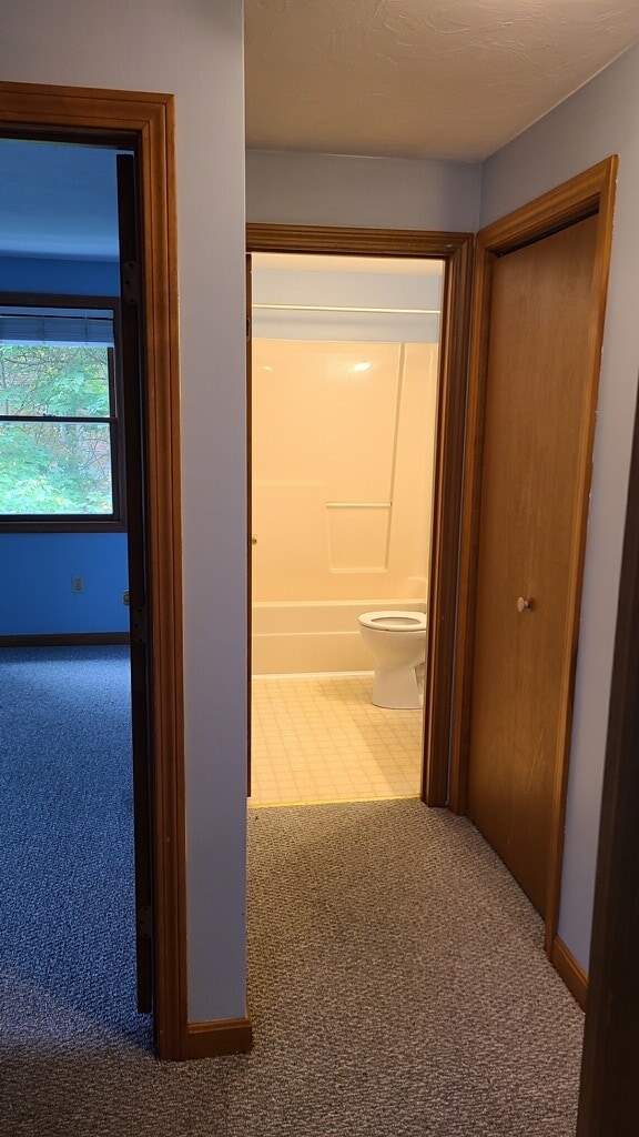 Upstairs hallway - 26 Crane St
