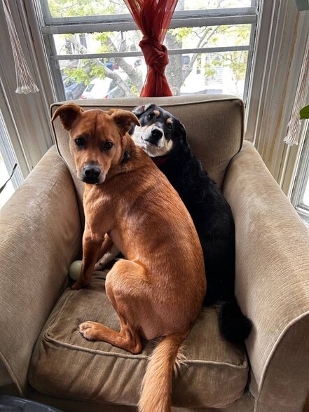 Building Photo - 127 Emery St